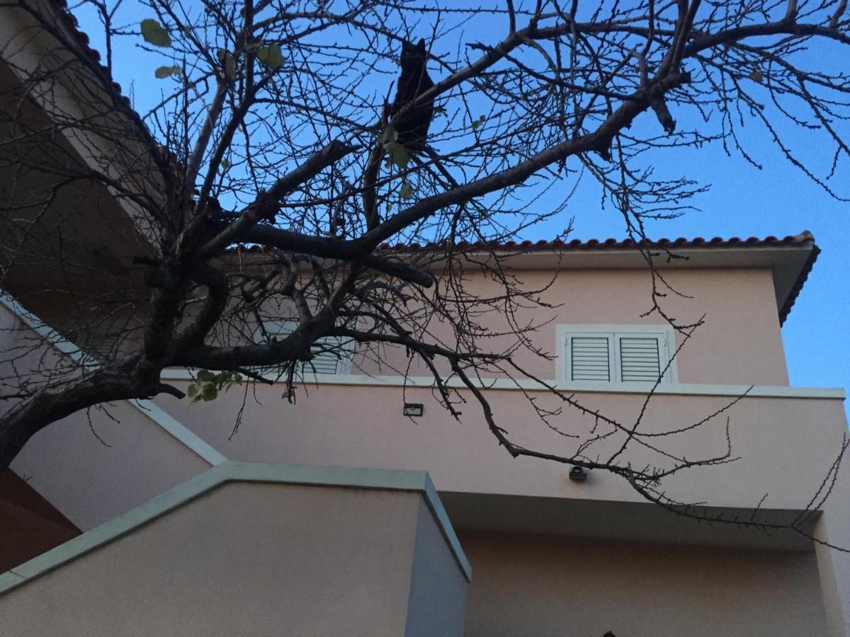 La Maison Di Zia Annina In Olbia Porta Della Costa Smeralda Exterior foto
