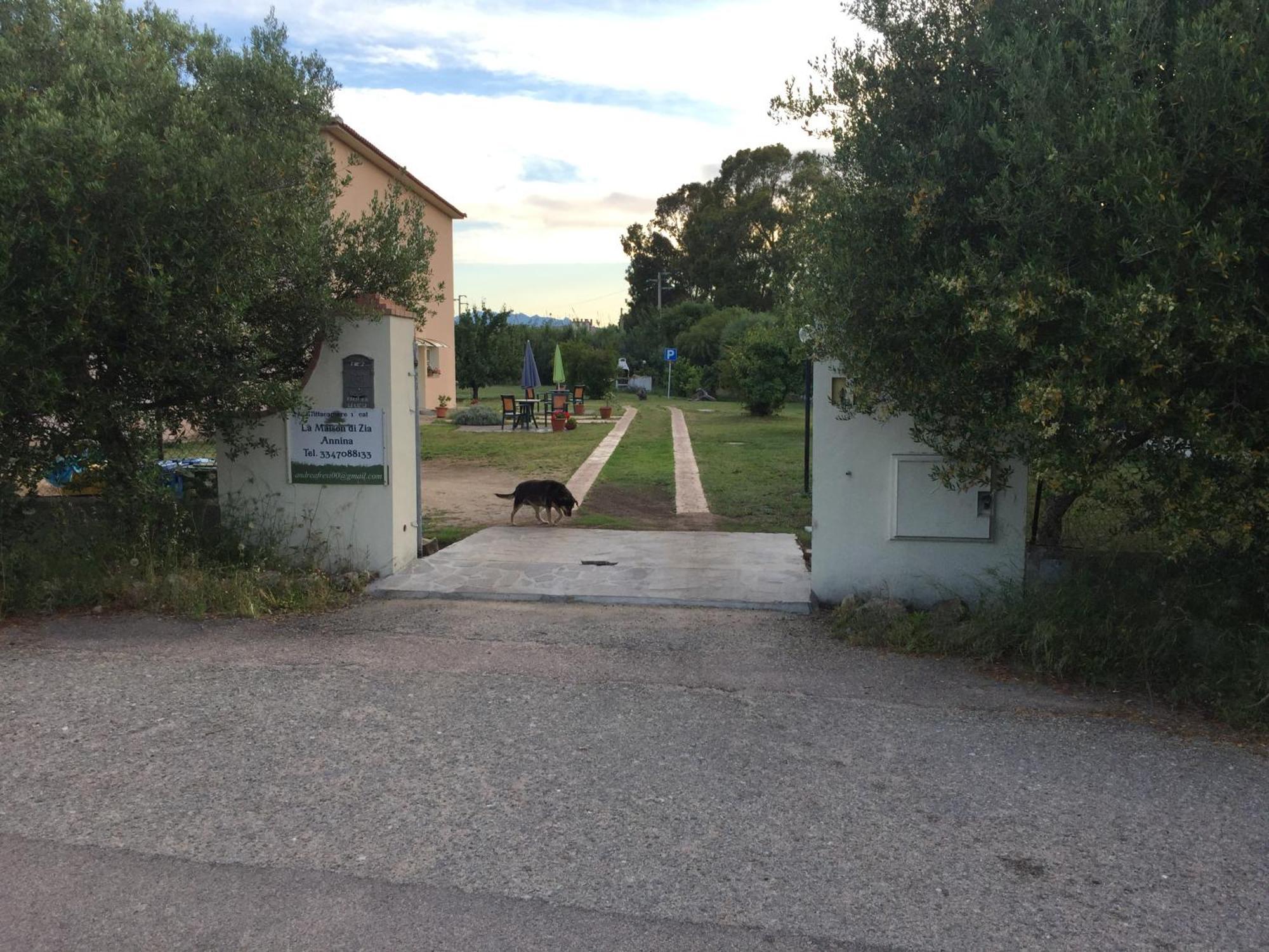 La Maison Di Zia Annina In Olbia Porta Della Costa Smeralda Exterior foto