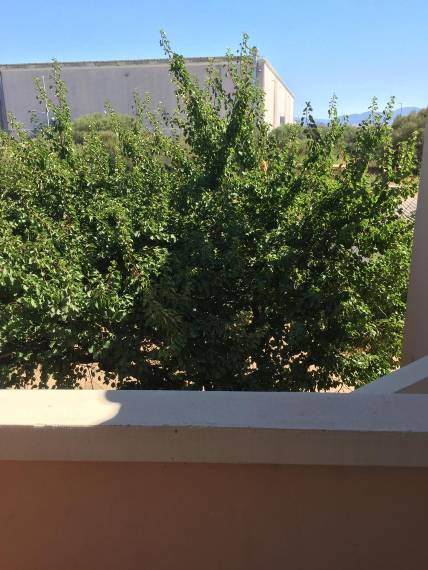 La Maison Di Zia Annina In Olbia Porta Della Costa Smeralda Exterior foto