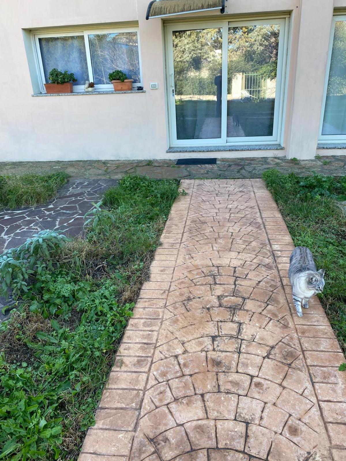La Maison Di Zia Annina In Olbia Porta Della Costa Smeralda Exterior foto